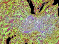 Picture for song 'two' by artist 'attu29a'