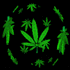 Picture for song 'Weedhead' by artist 'Audioholics'