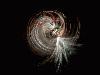 Picture for song 'Rolling Telefunk' by artist 'audiovoid'