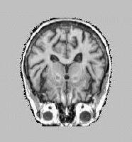 Picture for song 'mysticsynical' by artist 'AUDone'