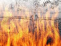 Picture for song 'Pride' by artist 'AugDawg'