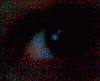 Picture for song 'scare them out of their minds (the begining)' by artist 'August of Glass'