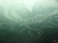 Picture for song 'we do it for the children' by artist 'Au Naturel'