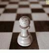 Picture for song 'CheckMate' by artist 'Aunty Establishment'