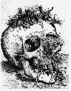 Picture for song 'Halloween House of Horrors' by artist 'Aunty Establishment'