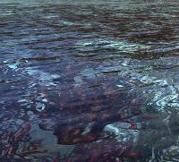 Picture for song 'Aqua Heaven' by artist 'Aural Source'