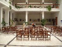 Picture for song 'White Flowers' by artist 'Aurel Nica'