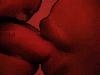 Picture for song 'Lust in Phase' by artist 'averiguar'