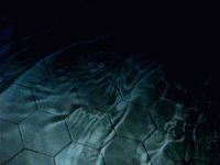 Picture for song 'Afterlife' by artist 'Averis'