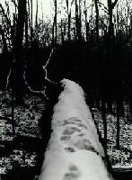 Picture for song 'Erins Song' by artist 'Awakening Dream'