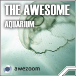 Picture for song 'Falling Star (Aquarium 2004)' by artist 'Awezoom'