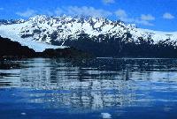 Picture for song 'Made Of Ice' by artist 'awt'