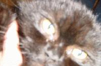 Picture for song 'Playground V4' by artist 'awt'