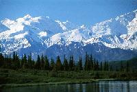 Picture for song 'Speaking With Cats (Birdslayer Remix)' by artist 'awt'