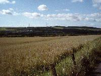 Picture for song 'STEAMTRAINS AND SKYLARKS' by artist 'Axe Victims'