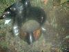 Picture for song 'Peep Dis...(Clack, Clack)' by artist 'AZ tha Dark Angel'