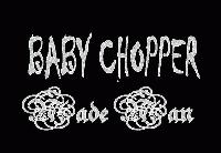 Picture for song 'Yall Fake' by artist 'Baby Chopper'