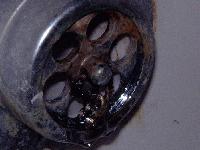 Picture for song 'Ten Acres to the Farm' by artist 'Baby Wilson'