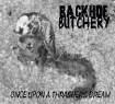 Picture for song 'I am a pirate' by artist 'Backhoe Butchery'