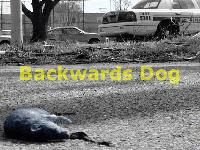 Picture for song 'Cloud 9' by artist 'Backwards Dog'