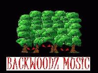 Picture for song 'D.S.A. - Deez Woodz' by artist 'Backwoodz Music'