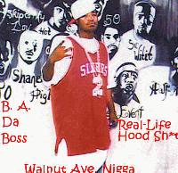 Picture for song 'Da Hood Not Da Same No More' by artist 'Ba Da Boss'