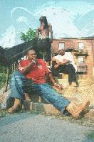 Picture for song 'Spark the trees' by artist 'Bad Blood'