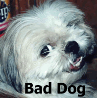 Picture for song 'Out Of Love' by artist 'Bad Dog'