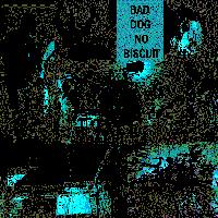 Picture for song 'Feels So Right' by artist 'Bad Dog No Biscuit'