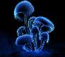 Picture for song 'Flowin'' by artist 'Bad Mushroomz'