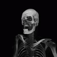 Picture for song '180 degrees' by artist 'bad sign'