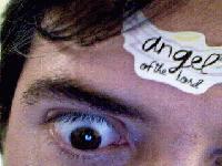 Picture for song 'Black and Crimson' by artist 'Bags of Mostly Monkey'