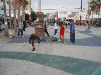 Picture for song 'What's That?' by artist 'Bags of Mostly Monkey'