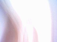 Picture for song 'Bam Bam DaVinci - Untitled(10)' by artist 'Bam Bam DaVinci'