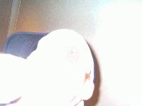 Picture for song 'bam bam davinci - untitled 26' by artist 'Bam Bam DaVinci'