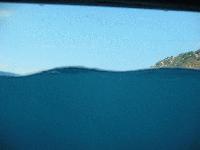 Picture for song '01 Welkom' by artist 'banding'