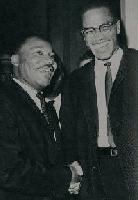 Picture for song 'The Ballot or the Bullet pt.1' by artist 'Bandwagon jump on'