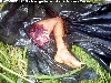 Picture for song 'Blood spillin in tha street(battle)' by artist 'Bane tha oracle'