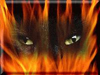 Picture for song 'Burning\Hate' by artist 'Bane tha oracle'