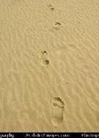 Picture for song 'Footprints in Sand' by artist 'Bane tha oracle'