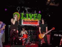Picture for song 'Gone Again' by artist 'bang the union'