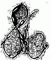 Picture for song 'learn to consider' by artist 'banned for life'