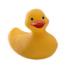 Picture for song 'Rubber Ducky' by artist 'Steve Andrews The Bard of Ely'