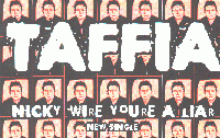 Picture for song 'You're a Liar, Nicky Wire' by artist 'Steve Andrews The Bard of Ely'