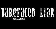 Picture for song 'Carnation' by artist 'Barefaced Liar'