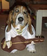 Picture for song 'i've yet begun' by artist 'barkin barney'