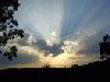 Picture for song 'sunrise (inst.)' by artist 'barkin barney'