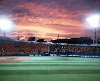 Picture for song 'HAMA-STA Twilight Time(English)' by artist 'Baseball-Honeywar'
