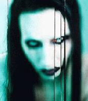 Picture for song 'METAL BASS' by artist 'BASSOTRONICS'