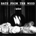 Picture for song 'Here I Am' by artist 'BATS FROM THE WOOD'
